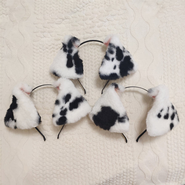 【Dalmatian】 Scottish Fold Dalmatian