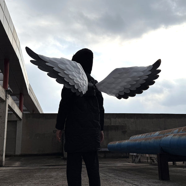 [Electric] Flapping electric wings