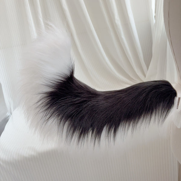 Black and white Border Collie tail