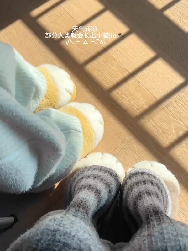 Cute cat paw slippers