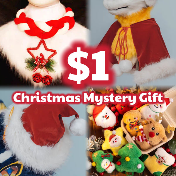 $1 Mystery Christmas Gift