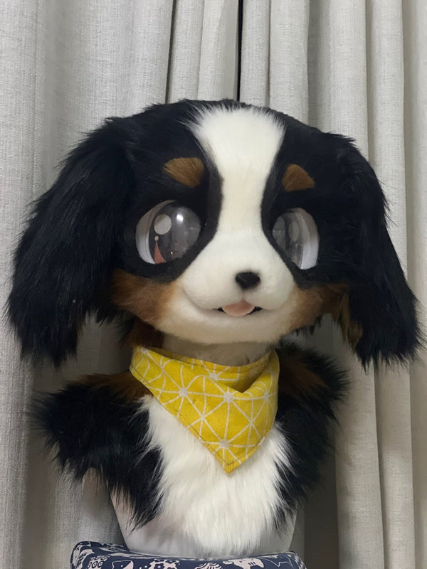 [Puppy] Bernese Mountain Dog Kemono Fursuits Stock