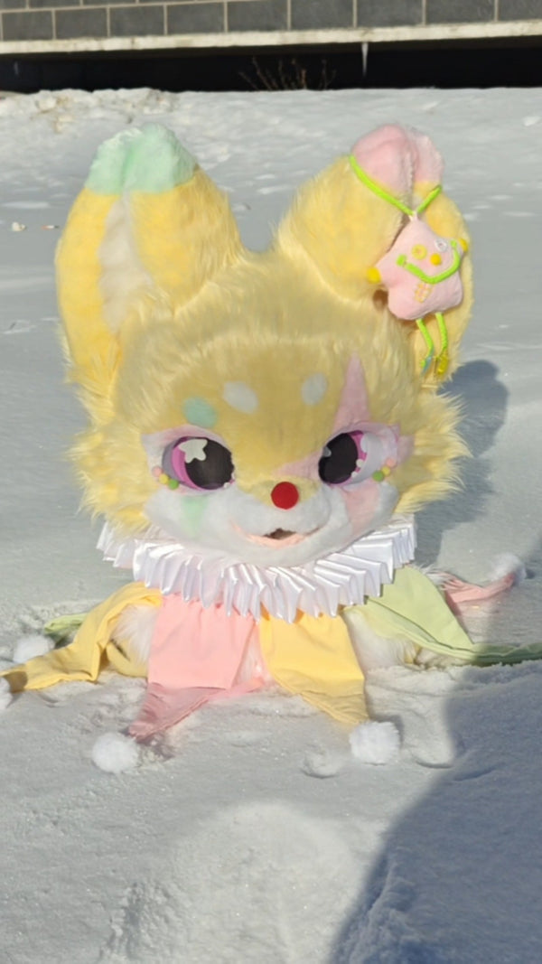 [Dog] Clown Puppy Kig Fursuits Stock