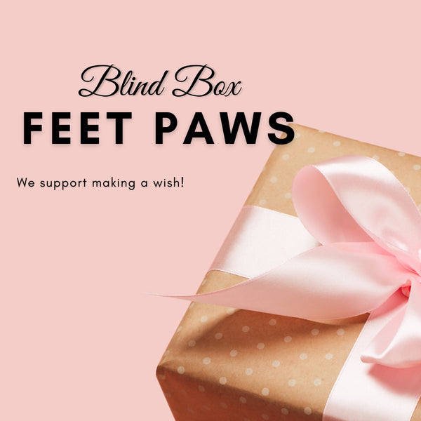 【Mystery Boxes】Feet Paws