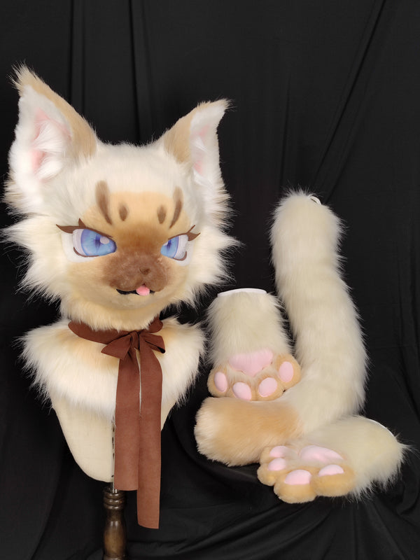 [Kitten] Siamese Cat Kemono Fursuits Stock（gift paws+tail）