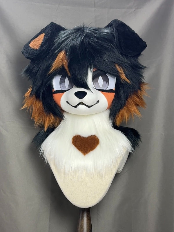 [Bernese Mountain Dog] Bernese Mountain Dog Kig Fursuits Stock