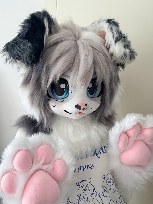 [Puppy] Border Collie Kemono Fursuits Stock (Gift Handpaws+Neck)