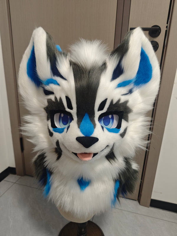 [Fox] Dragon pattern American fox Kemono Fursuits Stock