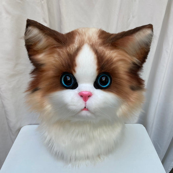 Ragdoll Kitten Realistic Head Fursuit