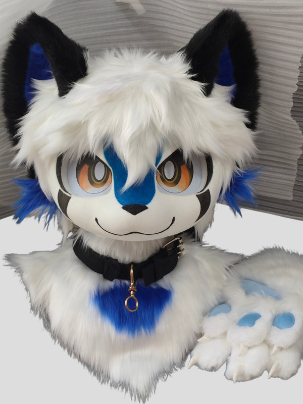 Blue and white kitten (Gift Handpaws)